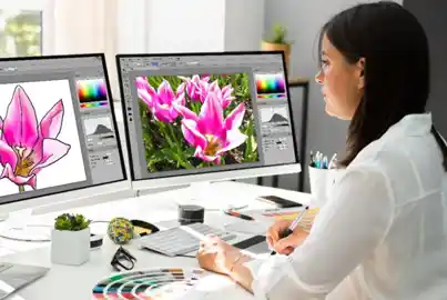feature visual essay motion graphics
