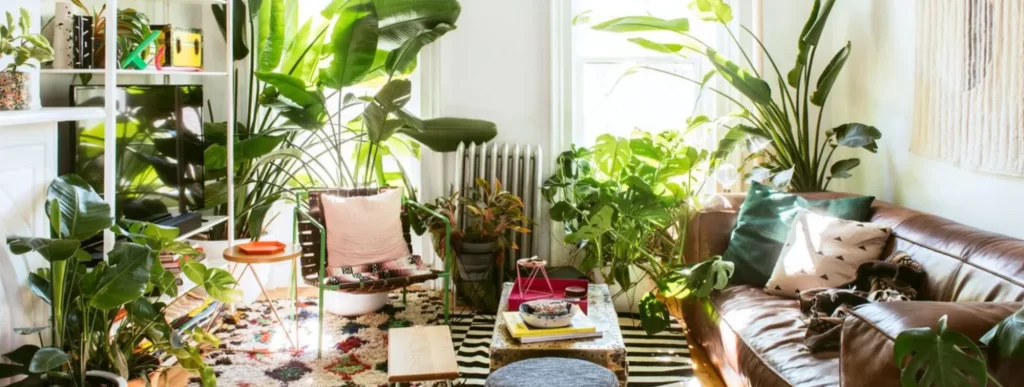 Living room interior design idea: Indoor trees and plants to enhance the space