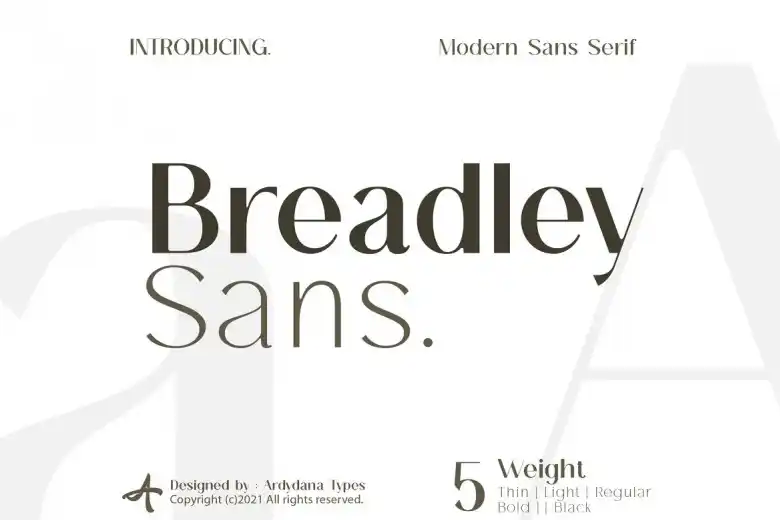 Infographic displaying Breadley Sans font with its weight, colour and designer details Infographic displaying Breadley Sans font with its weight, colour and designer details