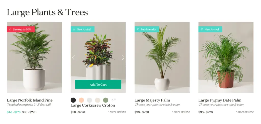 Intuitive UI design of the product listing on The Sill conveying the brand identity
Intuitive UI design of the product listing on The Sill conveying the brand identity