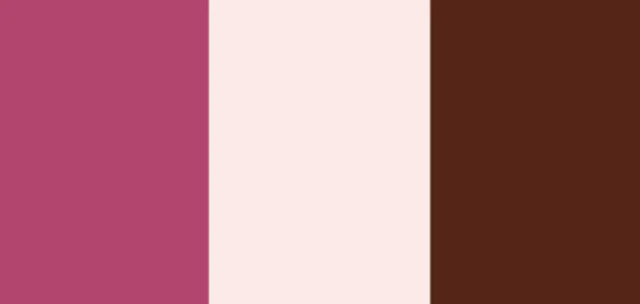 Rasberry and Chocolate Brwon combination used to evoke opulence Rasberry and Chocolate Brwon combination used to evoke opulence