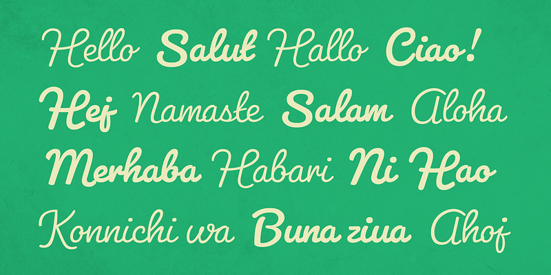 Variations of the Pacifico font.
