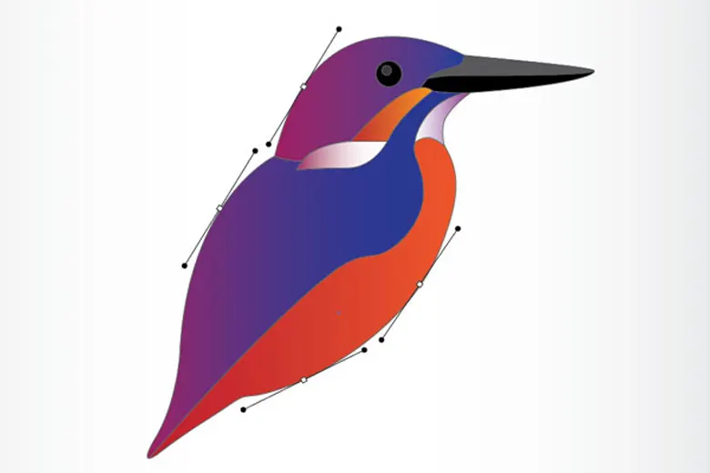 Picture of a vector graphic image of a bird.