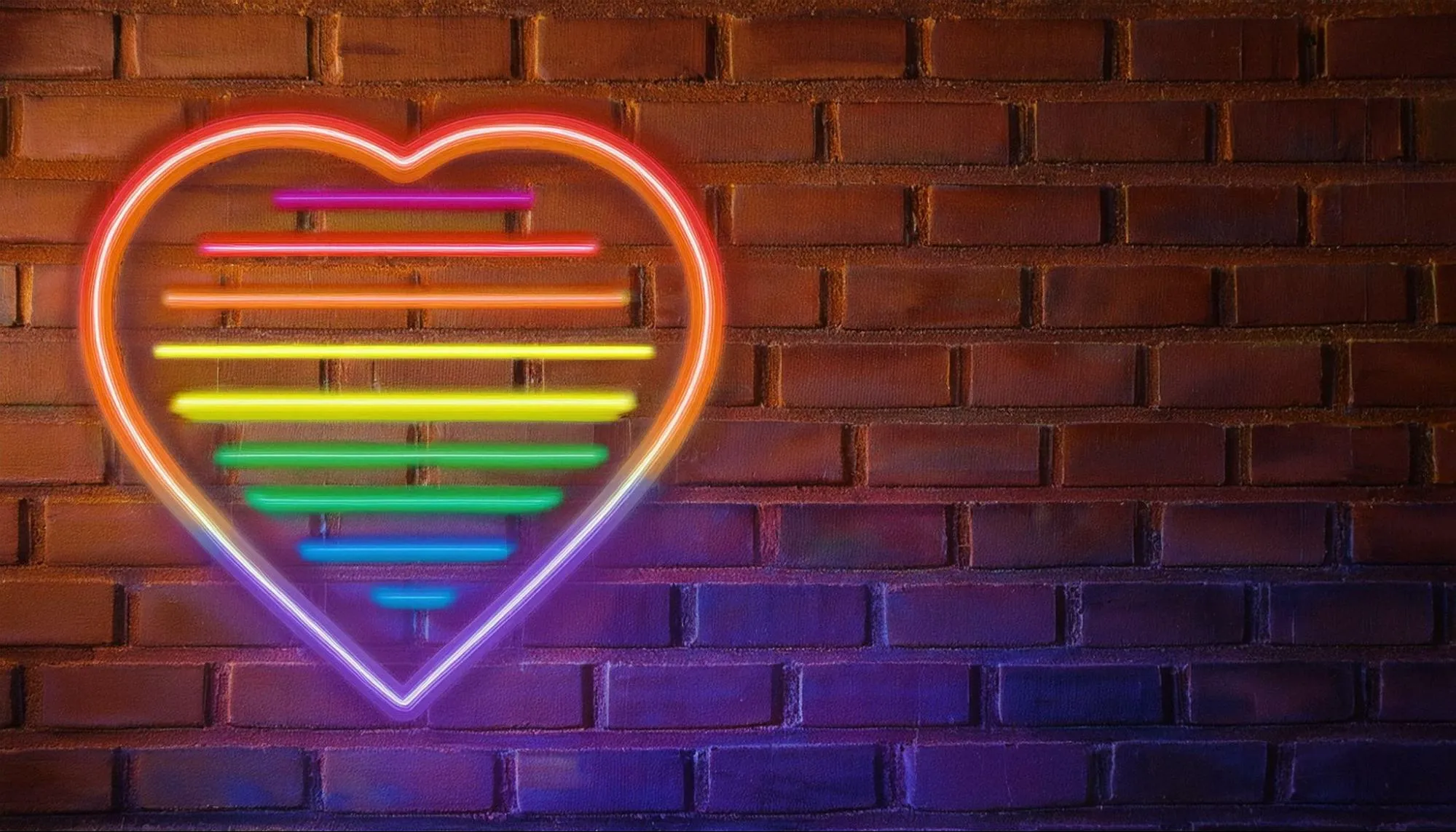 A rainbow neon sign
A rainbow neon sign