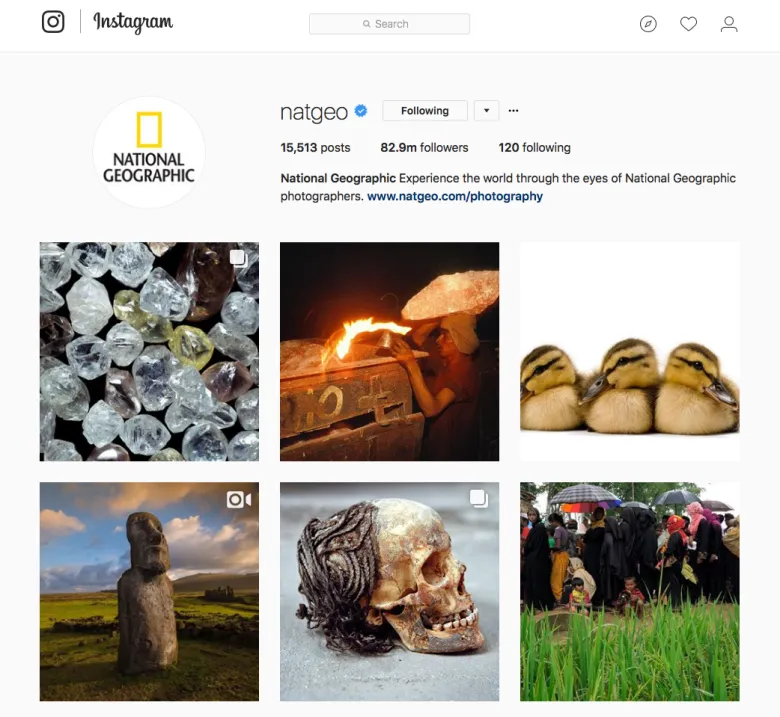 Nat Geo instagram profile Nat Geo instagram profile