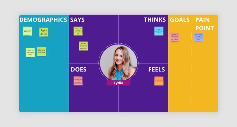 Demographics-focused empathy map.
Demographics-focused empathy map.