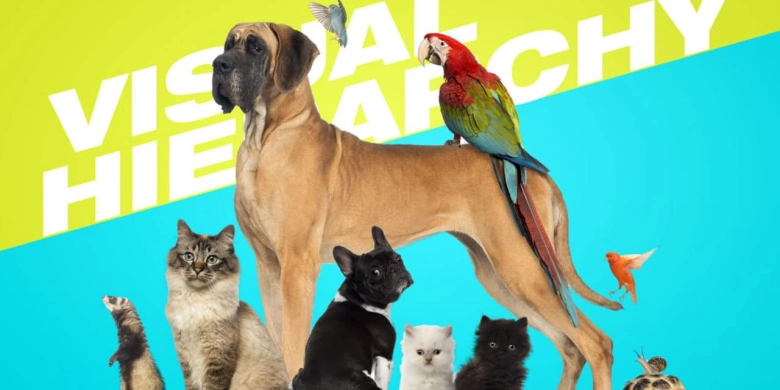 Size and scale in visual hierarchy