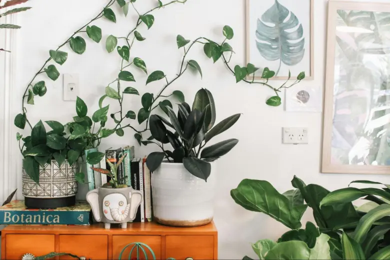 Nature-Inspired Cooling Solutions
